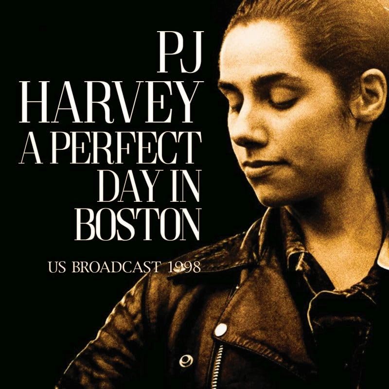 PJ Harvey album cover: portrait of a woman in a leather jacket.