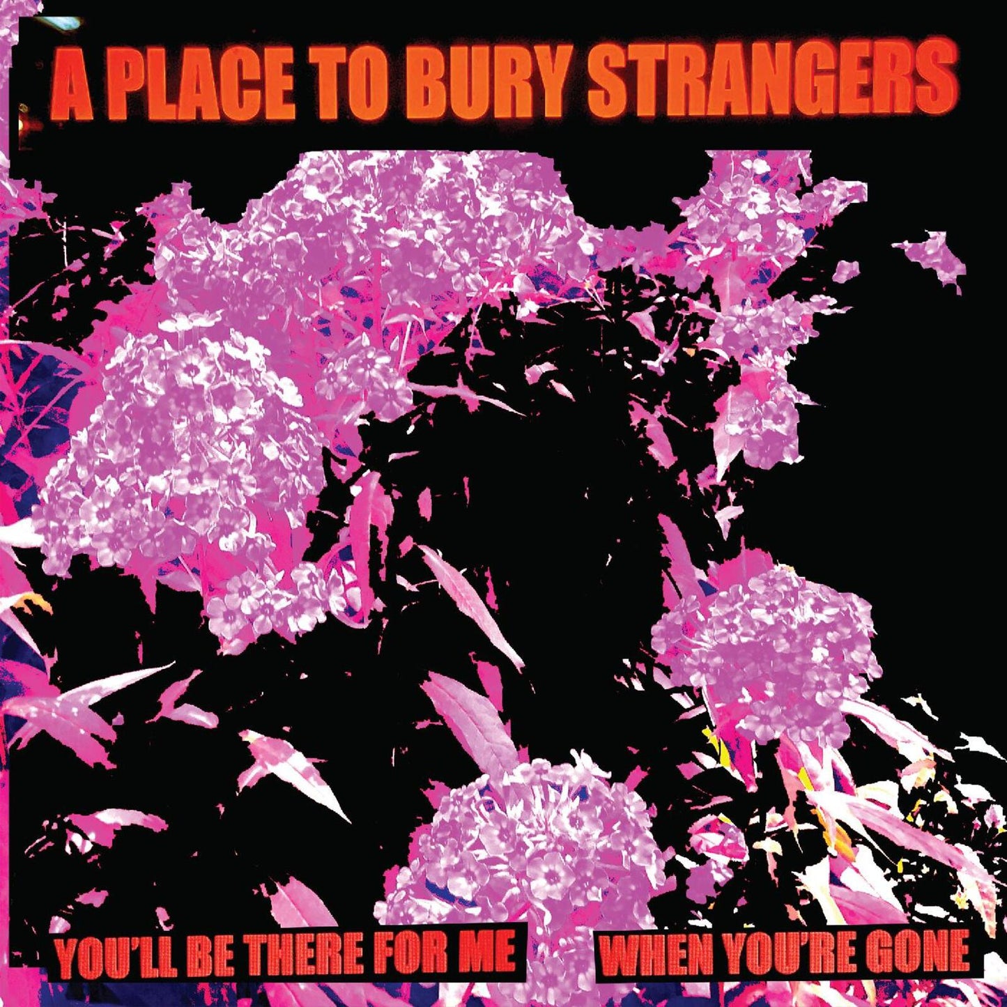 Album cover for Place To Bury Strangers with pink floral imagery.