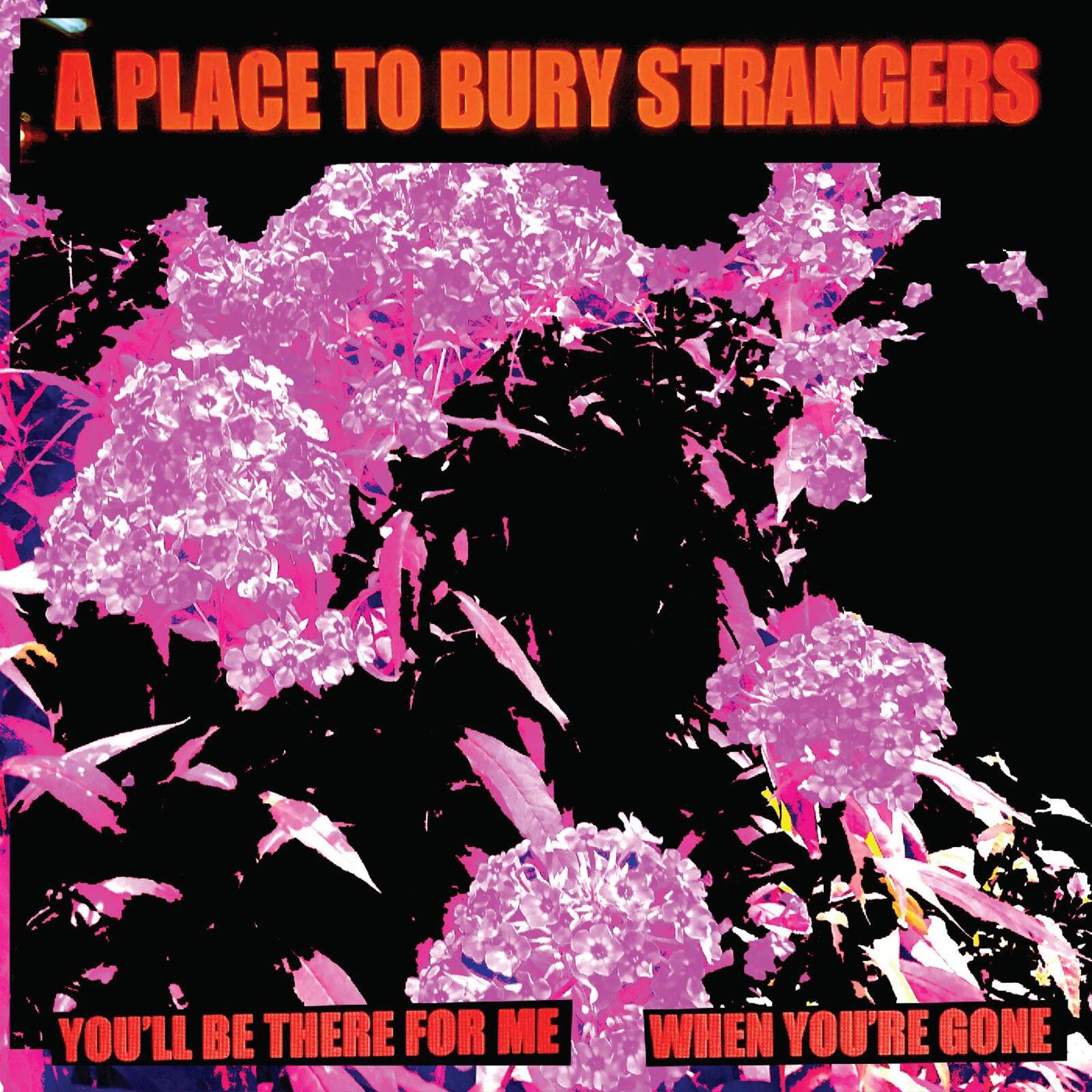 Album cover for Place To Bury Strangers with pink floral imagery.