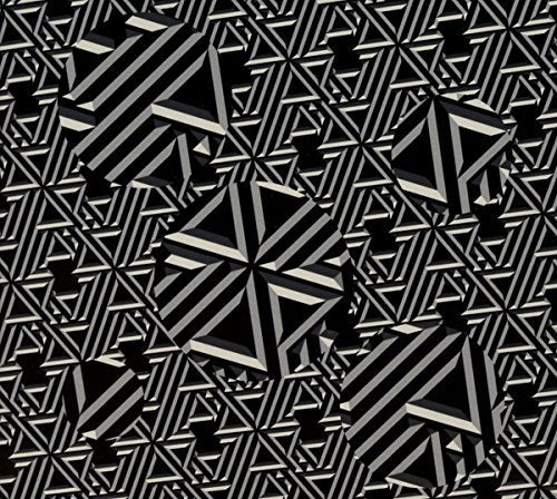 Black and white optical illusion pattern, album cover for Plaid’s CD.