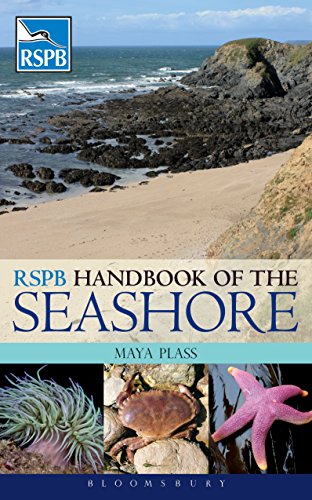 Book cover: seashore scene with text "RSPB Handbook of the Seashore".