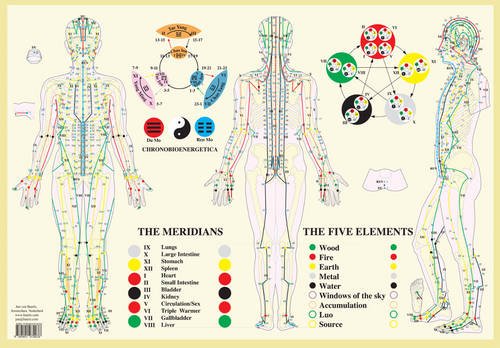 Anatomical chart displaying human meridians and the five elements in traditional medicine.