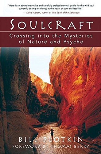 Book cover showing a person standing in a narrow, red-rock canyon.