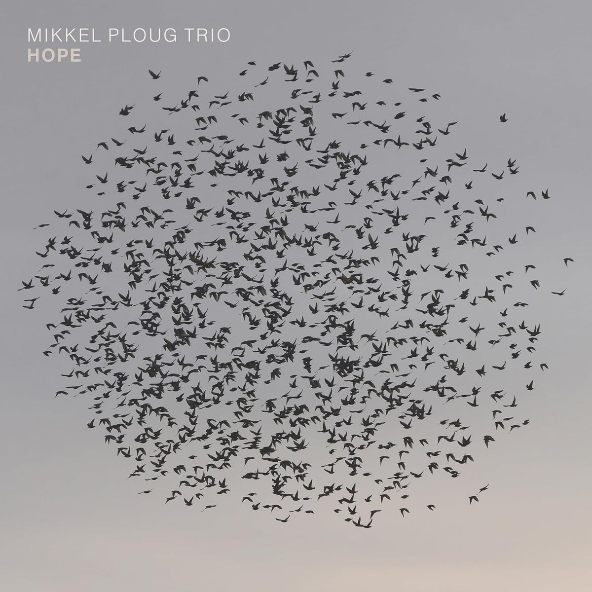 CD cover: gray background with a flock of black birds in flight.
