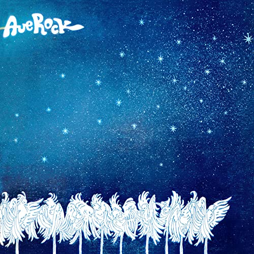 White line-art birds stand against a blue starry night sky with AveRock text.