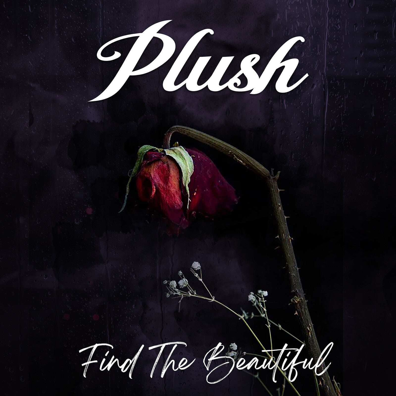 CD cover for Plush’s “Find The Beautiful” featuring a wilted red rose.
