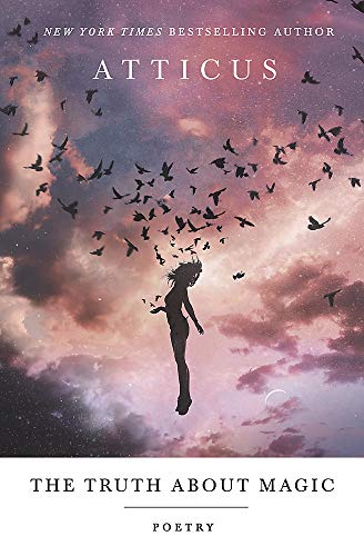 Poetry book cover with silhouette of a falling woman and birds.