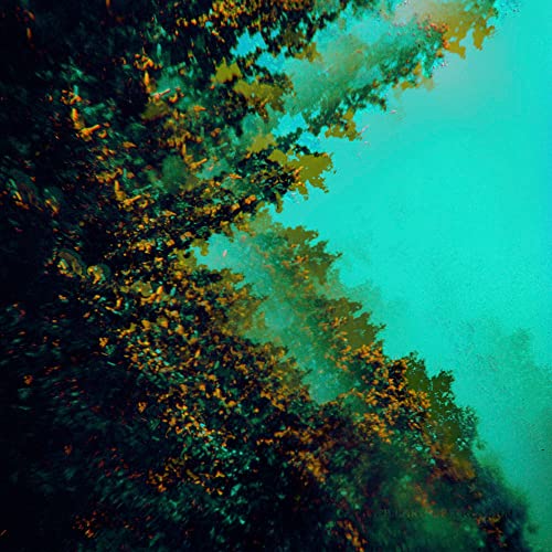 Abstract teal and gold textured image, likely album artwork.