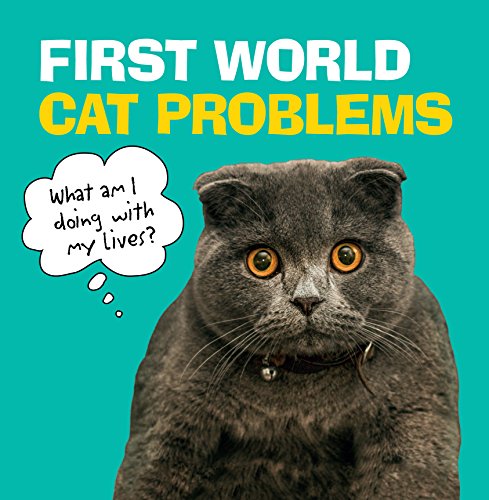 Gray Scottish Fold cat with a thought bubble questioning its existence.