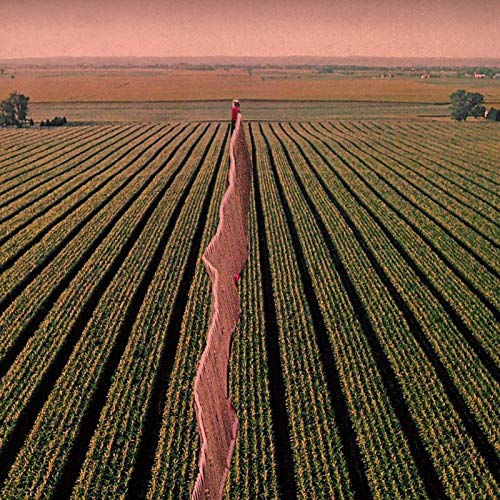 Aerial view of a person standing in a vast, striped field.