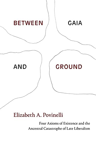 Book cover with abstract shapes and red text: "Between Gaia and Ground.