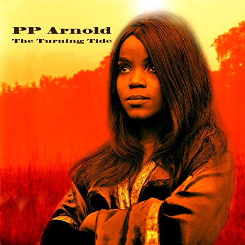 PP Arnold album cover, portrait of a woman against an orange background.