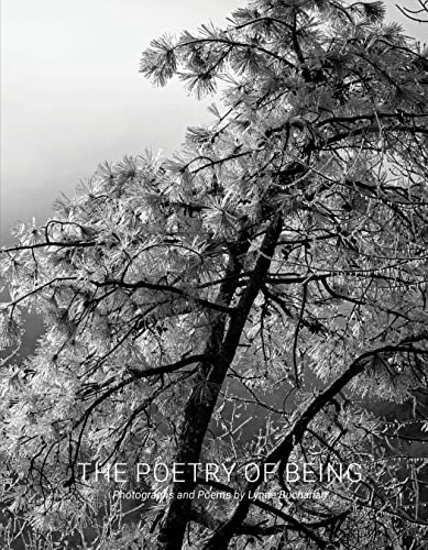 Black and white photograph of a tree’s branches against a pale sky.