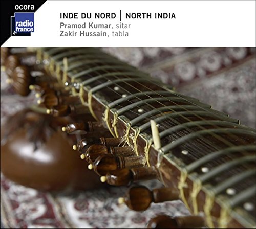 Close-up of a sitar with strings, representing Indian classical music.