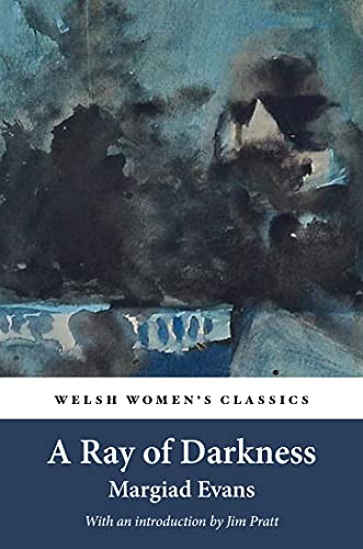 Book cover: watercolor wash with title “A Ray of Darkness” and author name.
