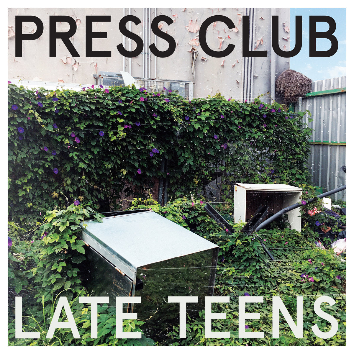 Album cover for Press Club’s “Late Teens” with overgrown greenery.
