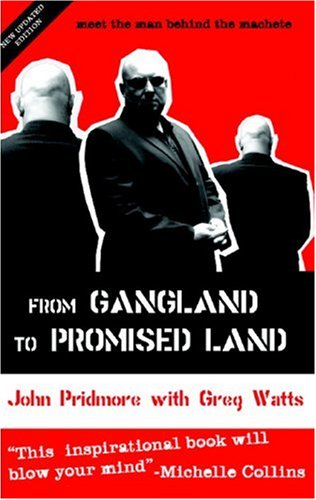 Book cover with a dramatic image, possibly a cityscape or a person, with bold typography.