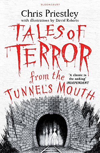 Book cover: dark tunnel illustration with red, distressed title text.