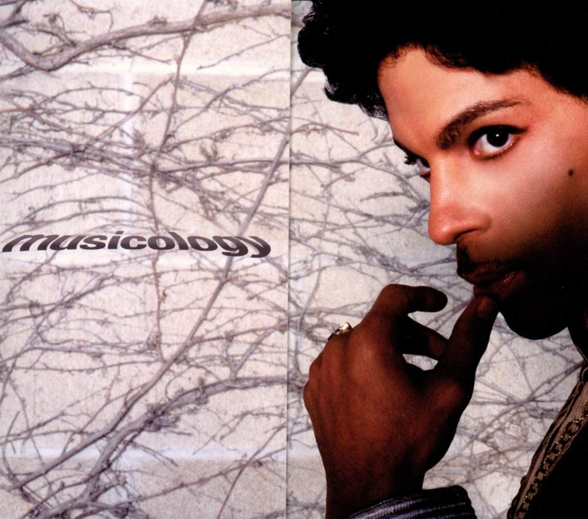 Prince's album cover: man with curly hair, contemplative expression, against a tree branch background.