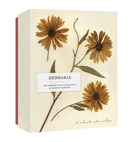 Boxed notecard set featuring pressed flower illustrations and “Herbaria” text.