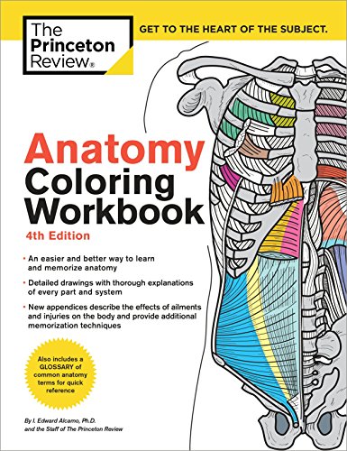 Anatomy coloring workbook cover with detailed illustrations of the human skeleton and muscles.