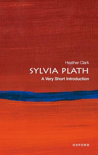 Book cover with red textured background, a horizontal blue stripe, and white text.