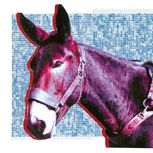 Purple and white donkey head with harness, against a blue grid background.