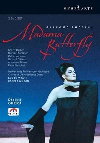 "DVD cover featuring a woman in a torn dress against a blue background."