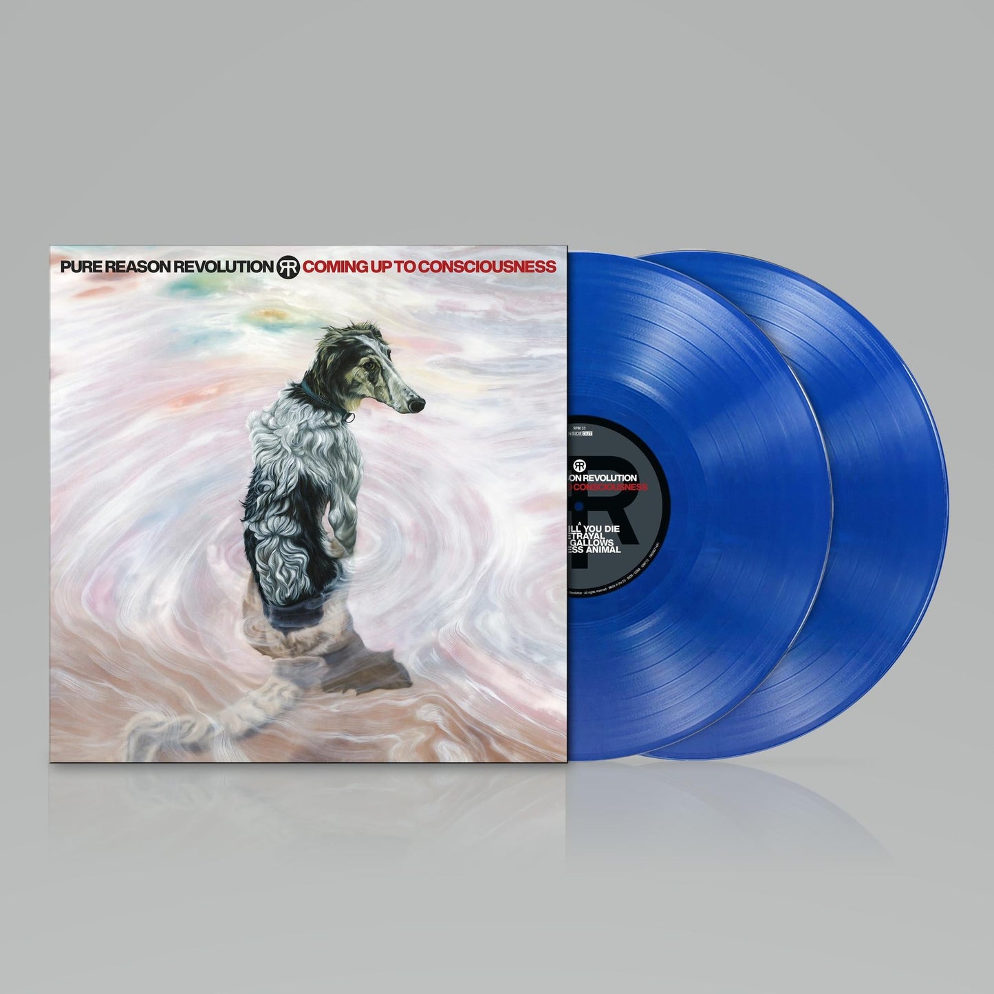 Vinyl record of “Coming Up To Consciousness” featuring a dog portrait.