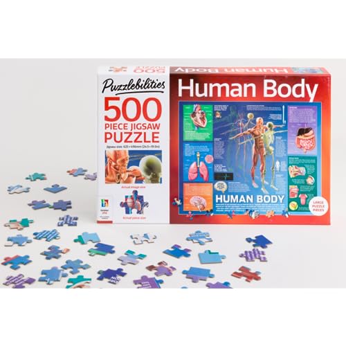 Human body jigsaw puzzle box and scattered puzzle pieces shown.