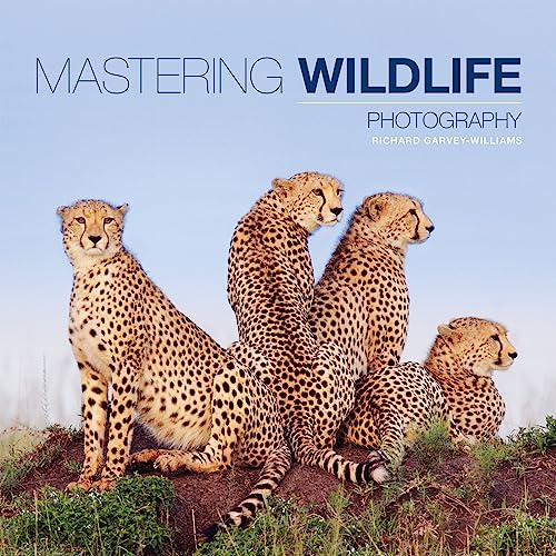 Book cover featuring three cheetahs on a grassy hill, titled "Mastering Wildlife Photography".