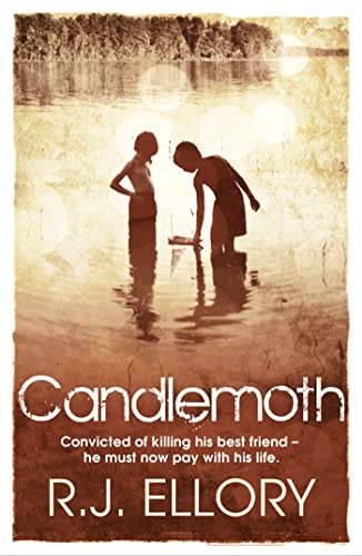 Book cover: two boys in water with a small boat, sunlit background.