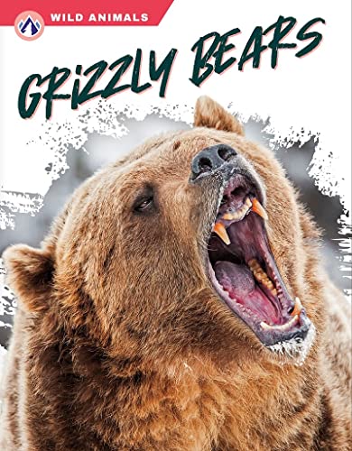 Book cover featuring a grizzly bear with an open mouth showing teeth.