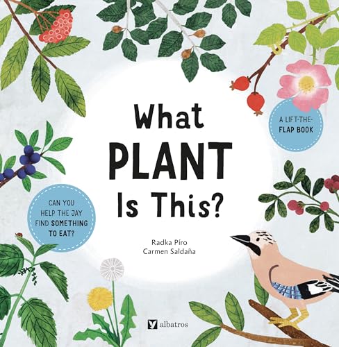 Book cover with illustrated plants, a bird, and the title "What Plant Is This?".