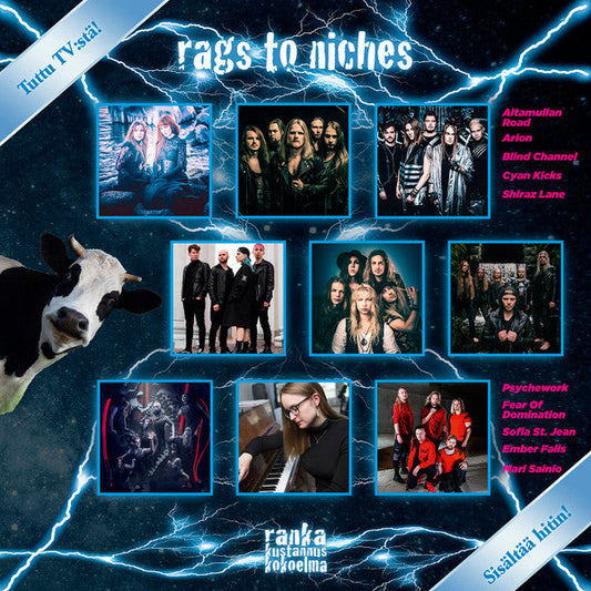 Vinyl record cover for “Rags To Niches” featuring multiple band portraits and lightning.