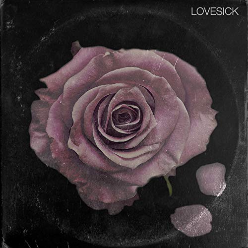 Vinyl record cover with a close-up of a faded purple rose.