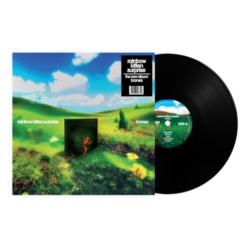 Rainbow Kitten Surprise "bones" vinyl record with landscape album art.