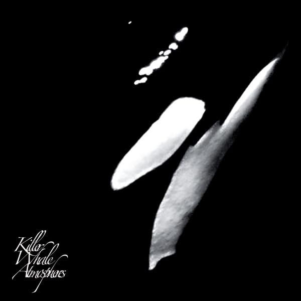 Black and white image of a whale tail and fin, with text below.