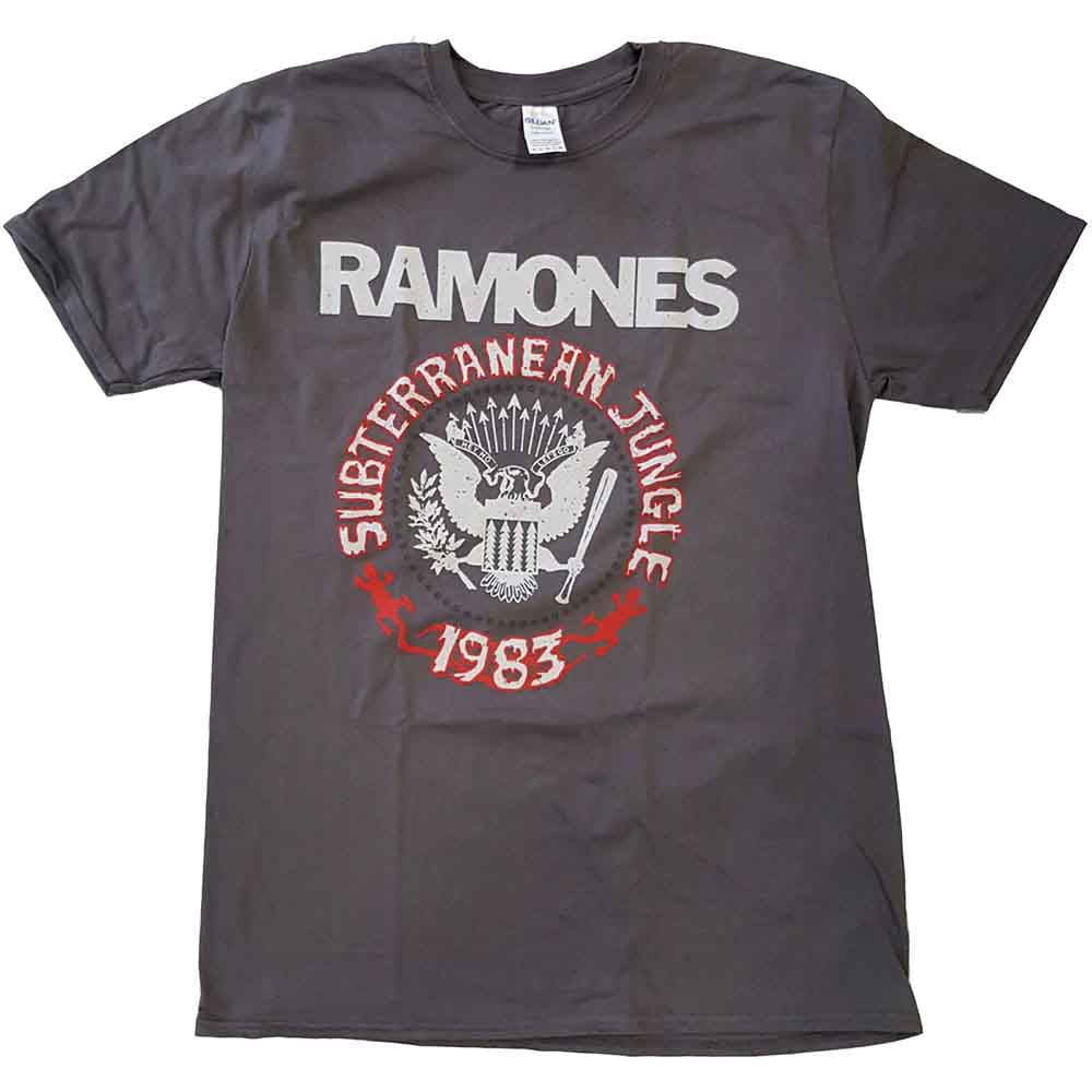 Charcoal grey Ramones t-shirt with band logo and eagle design.