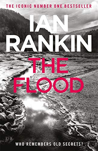 Book cover: a flooded river landscape with large white text, “The Flood”.