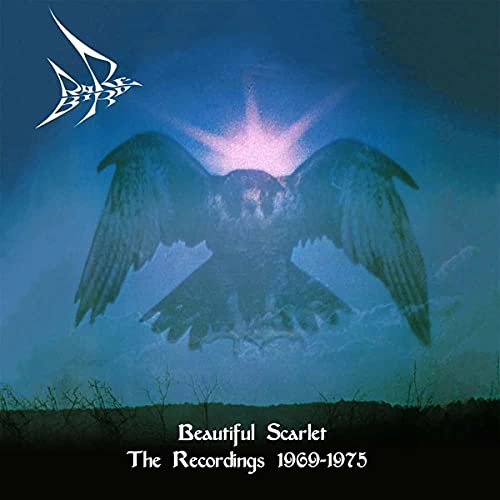 CD cover: dark bird silhouette against a glowing, blurred background.
