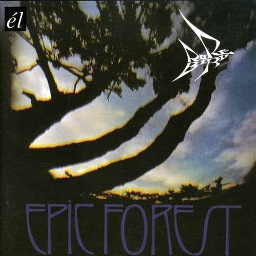 "Album cover with 'EPIC FOREST' text and a silhouette of trees against a cloudy sky."