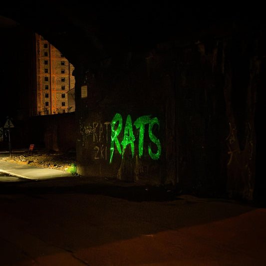 Green graffiti spelling "RATS" on a dark concrete wall at night.