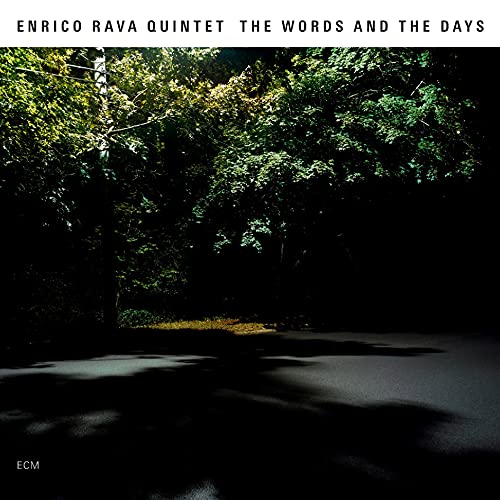 CD cover: dark trees with sunlight filtering through branches.