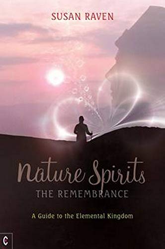 Book cover showing a silhouette of a person standing on a hill at sunset.