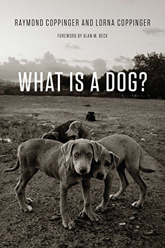 Book cover: "What is a Dog?" with three dogs in a field.