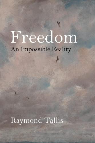 Book cover with cloudy sky and silhouettes of flying birds.