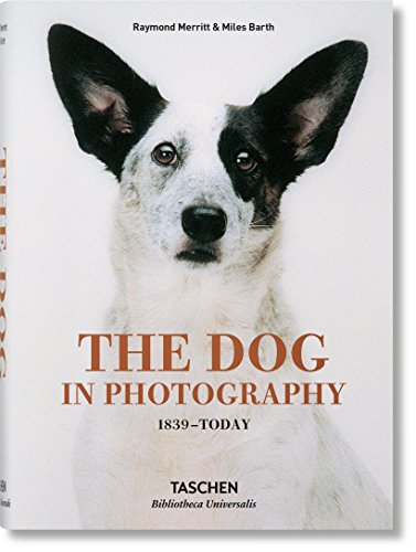 Book cover featuring a portrait of a white dog with black ears and spots.