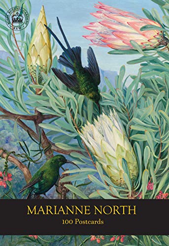 Botanical painting of two green birds among protea flowers with text Marianne North 100 Postcards.