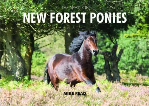 Book cover featuring a brown New Forest pony running through heathland.